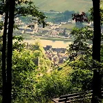 Mosel Panorama Zell