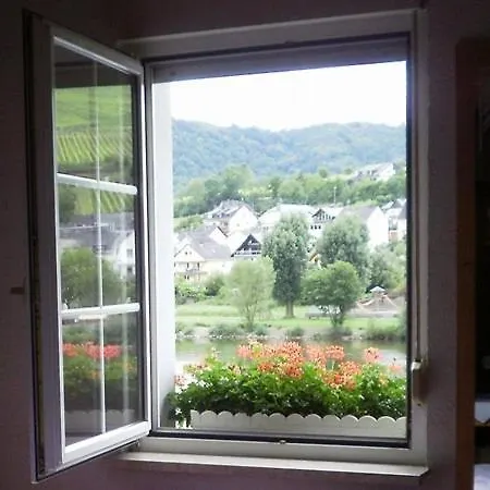 아파트 Mosel Panorama