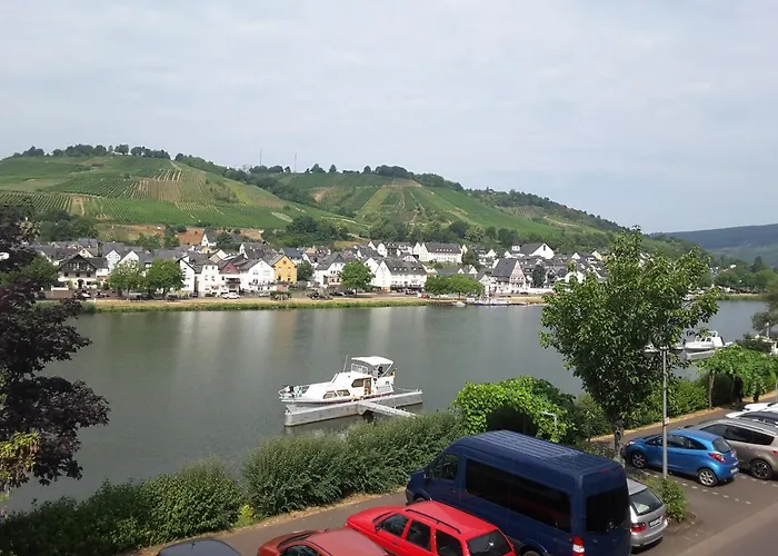 Mosel Panorama *