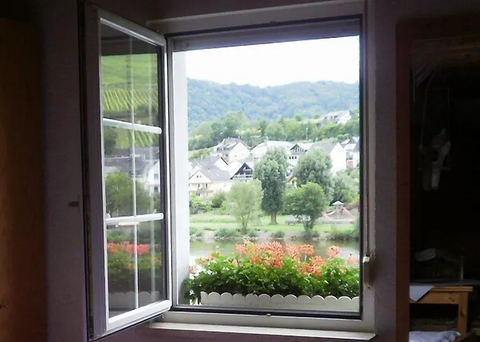 Mosel Panorama 아파트 첼 안 데어 모젤