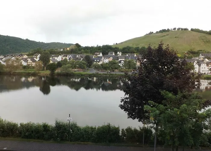 Mosel Panorama 첼 안 데어 모젤
